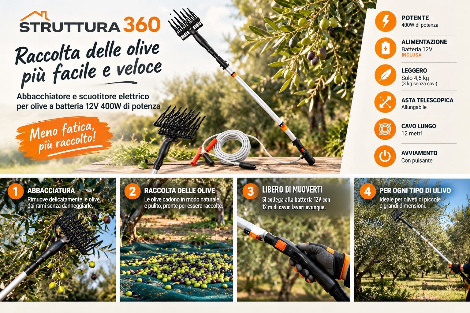 Cosa fa l'abbacchiatore: abbacchiatura, raccolta delle olive, lavoro in libertà, per ogni tipo di ulivo